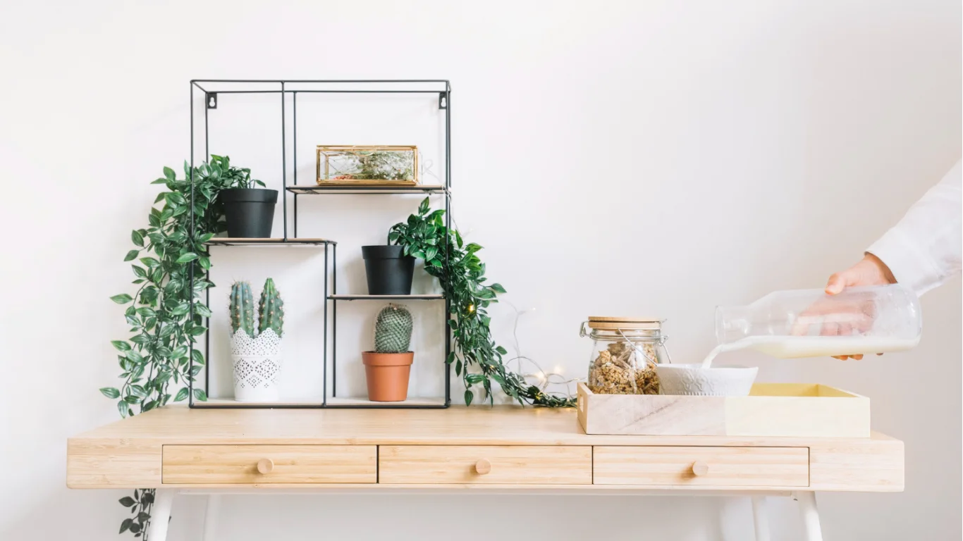 Decorating Ideas for Above Kitchen Cupboards