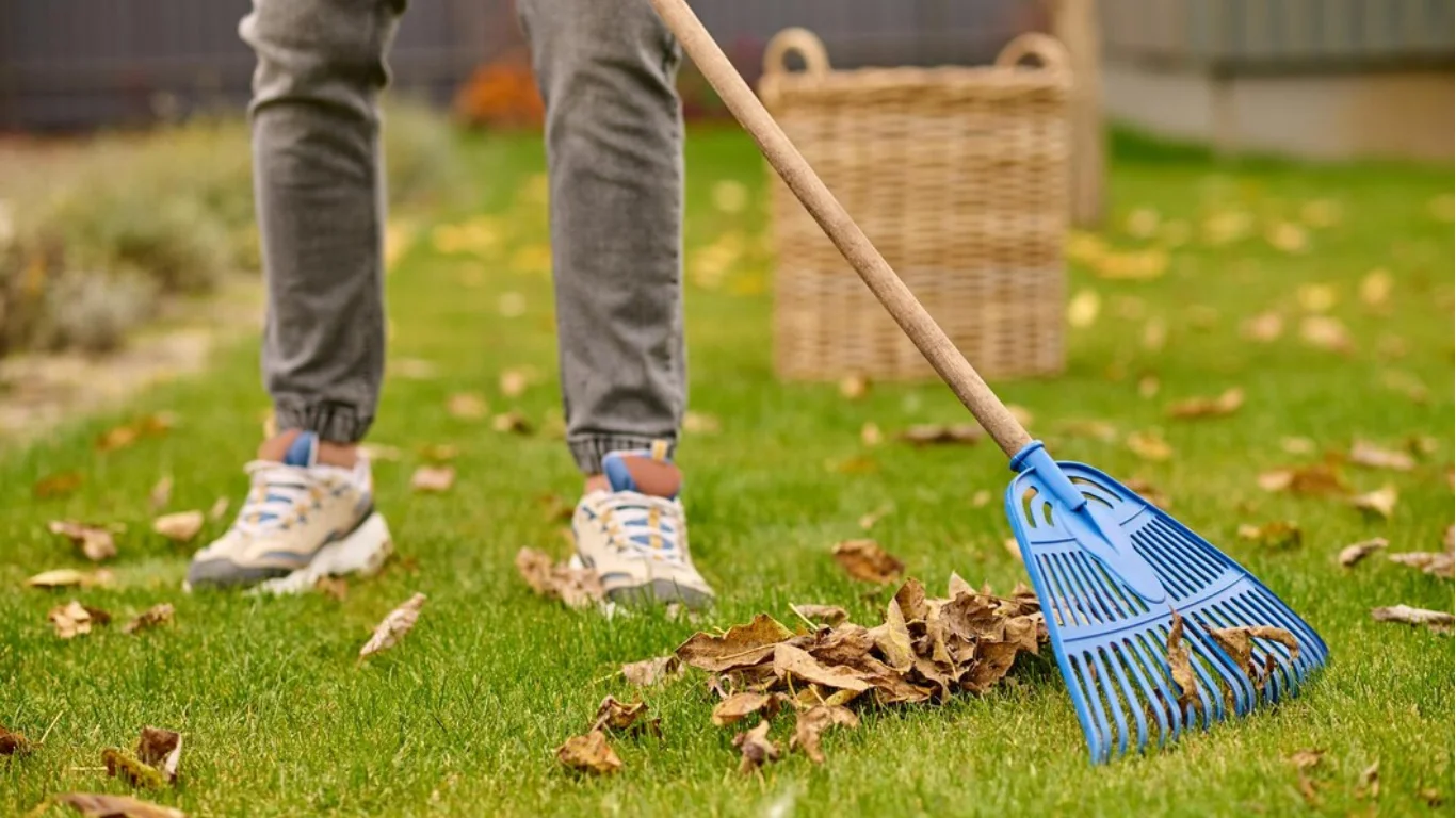 How to Clean Garden